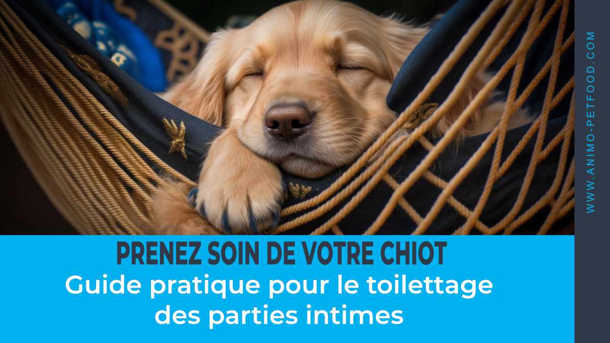 chiot-toilettage-des-parties-intimes